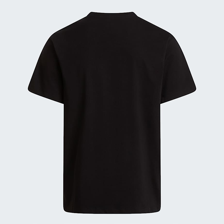 The North Face Logo Wear Tops, T-Shirt Uomo - Bianco, Nero, Stone