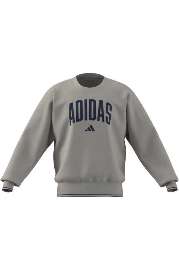 Adidas M Collegiate, Felpa Uomo Girocollo- Alluminio