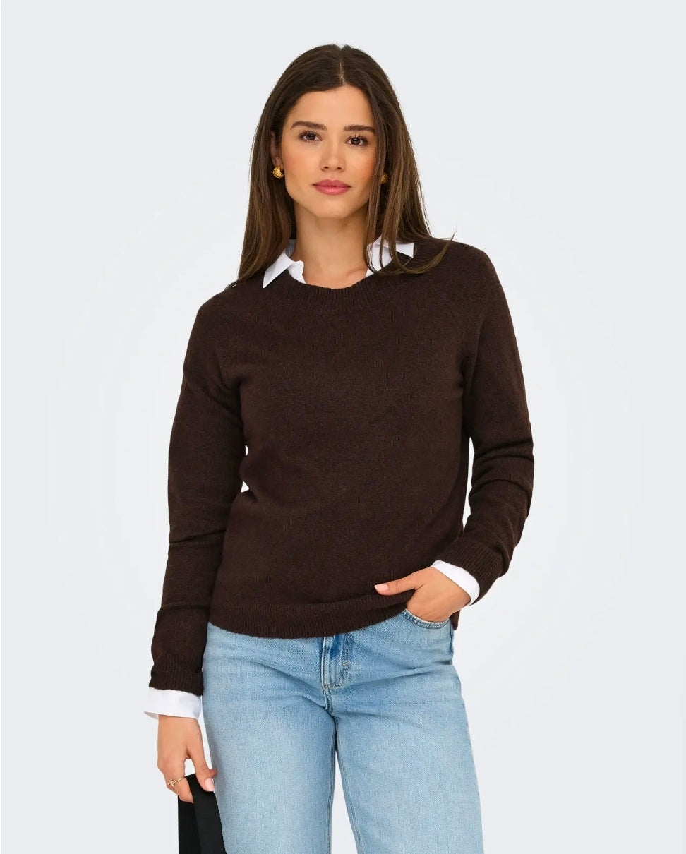 Only ONLRICA L/S PULLOVER KNT NOOS, Pullover Donna - Marrone