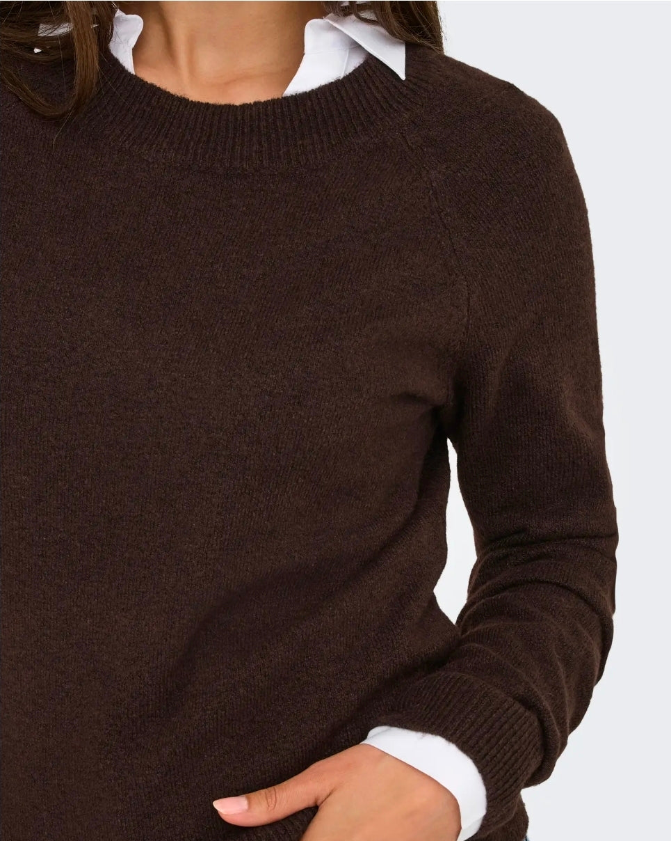 Only ONLRICA L/S PULLOVER KNT NOOS, Pullover Donna - Marrone
